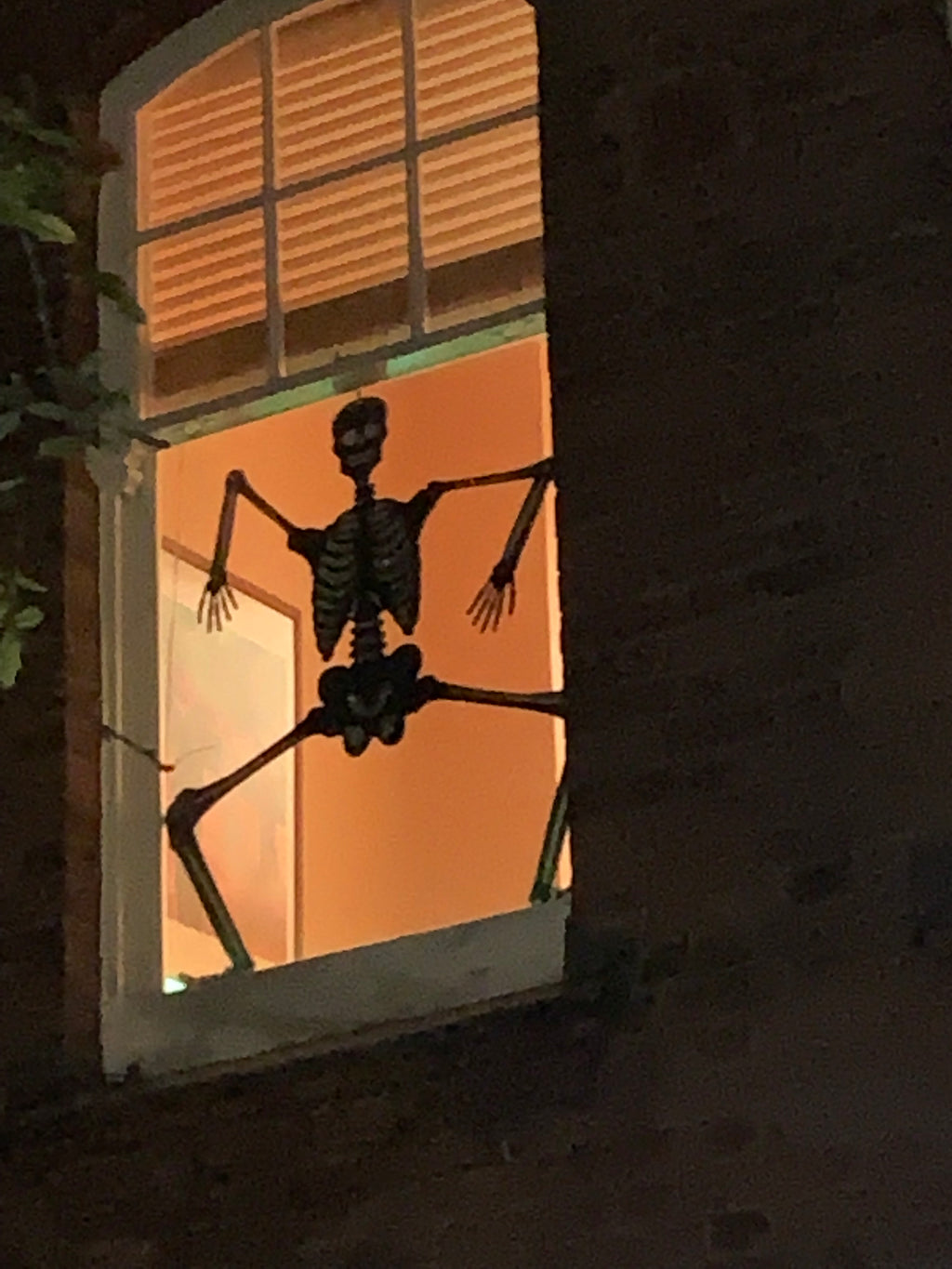 Oxford : Walking Guided Tour- "Ghosts + Phantoms"