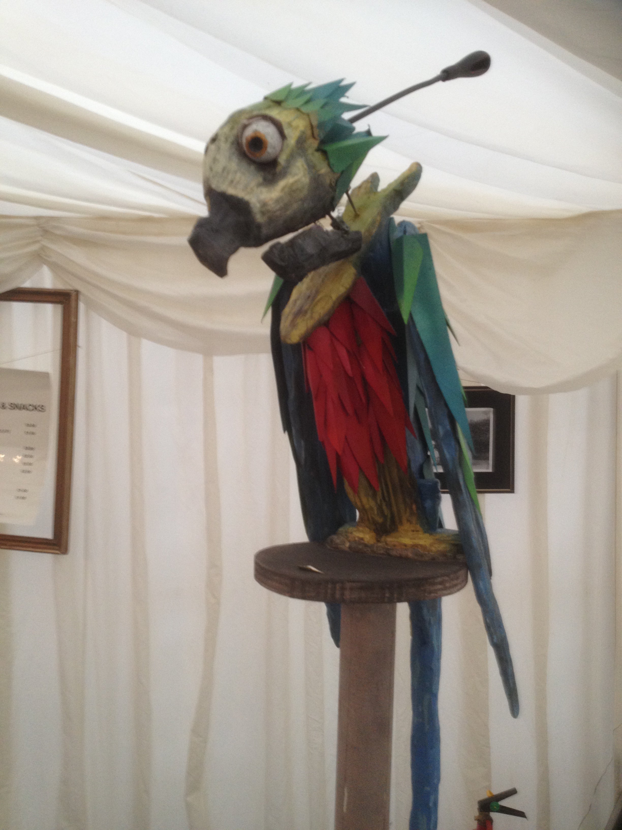 'Perched Parrot'