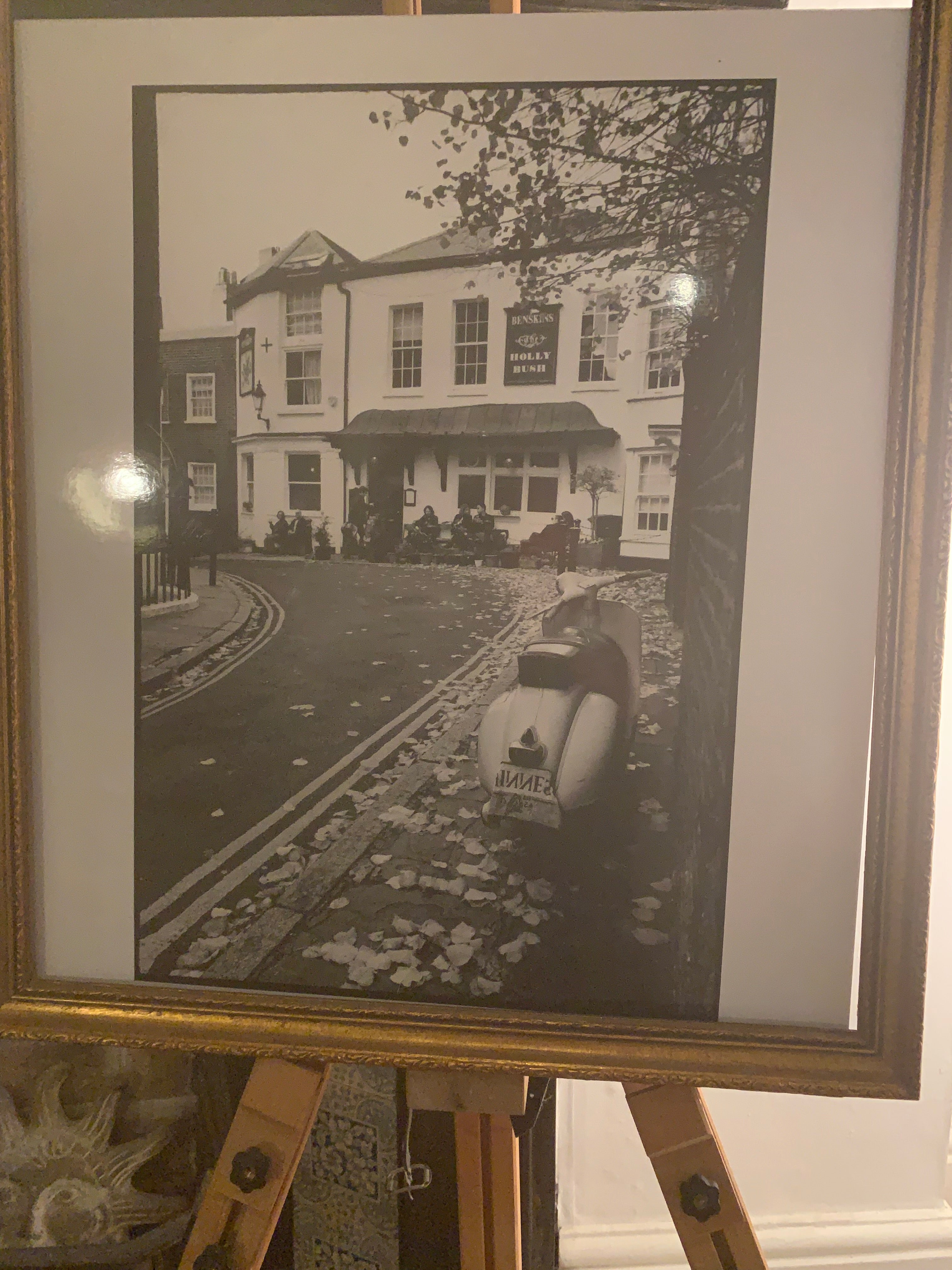 'Holly Bush Scooter'