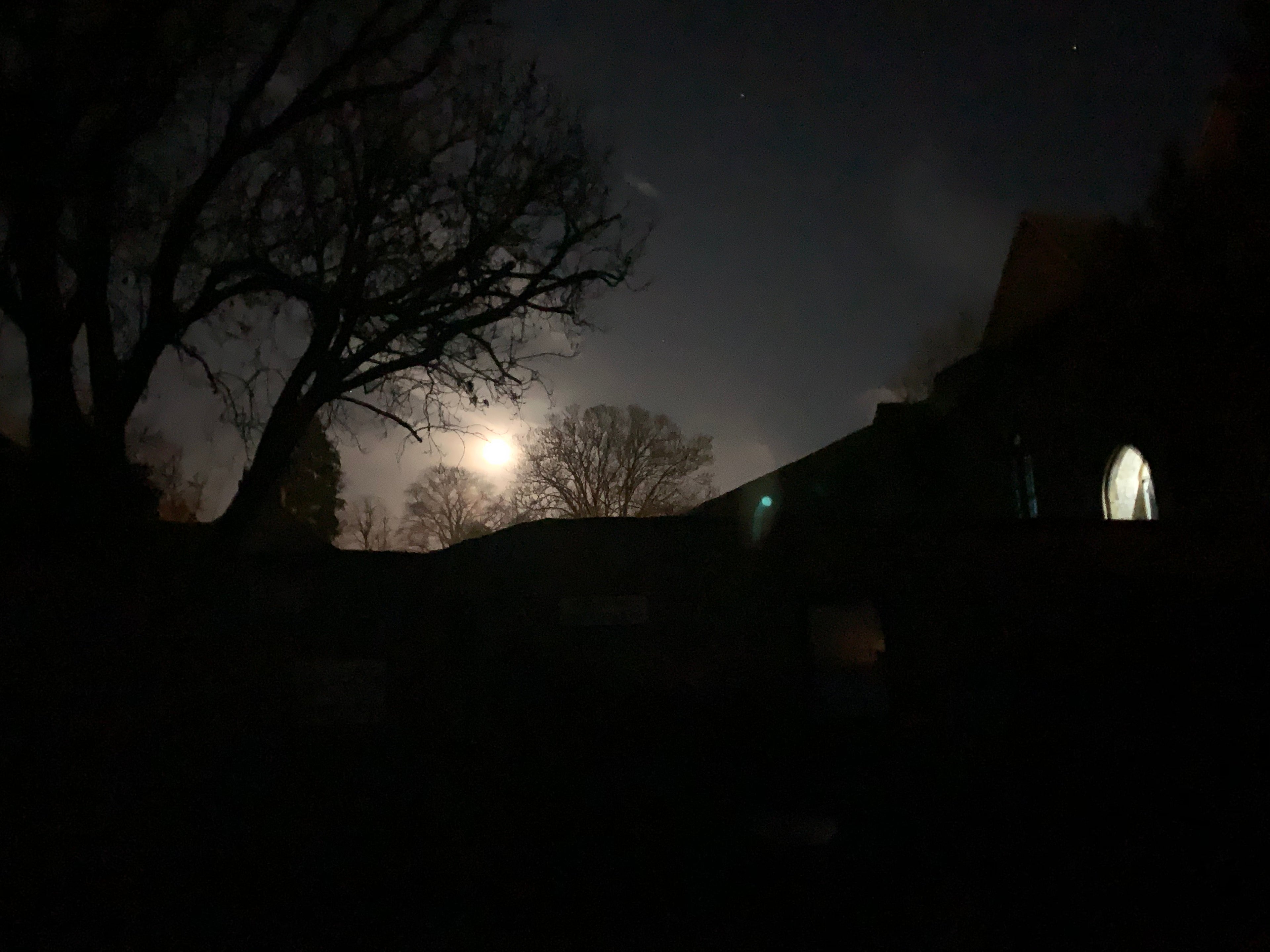 Oxford : Walking Guided Tour- "Ghosts + Phantoms"